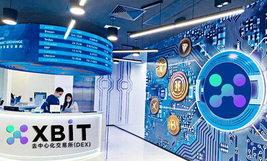 BTC市场稳定在10.7万美刀XBIT平台助力投资新选择