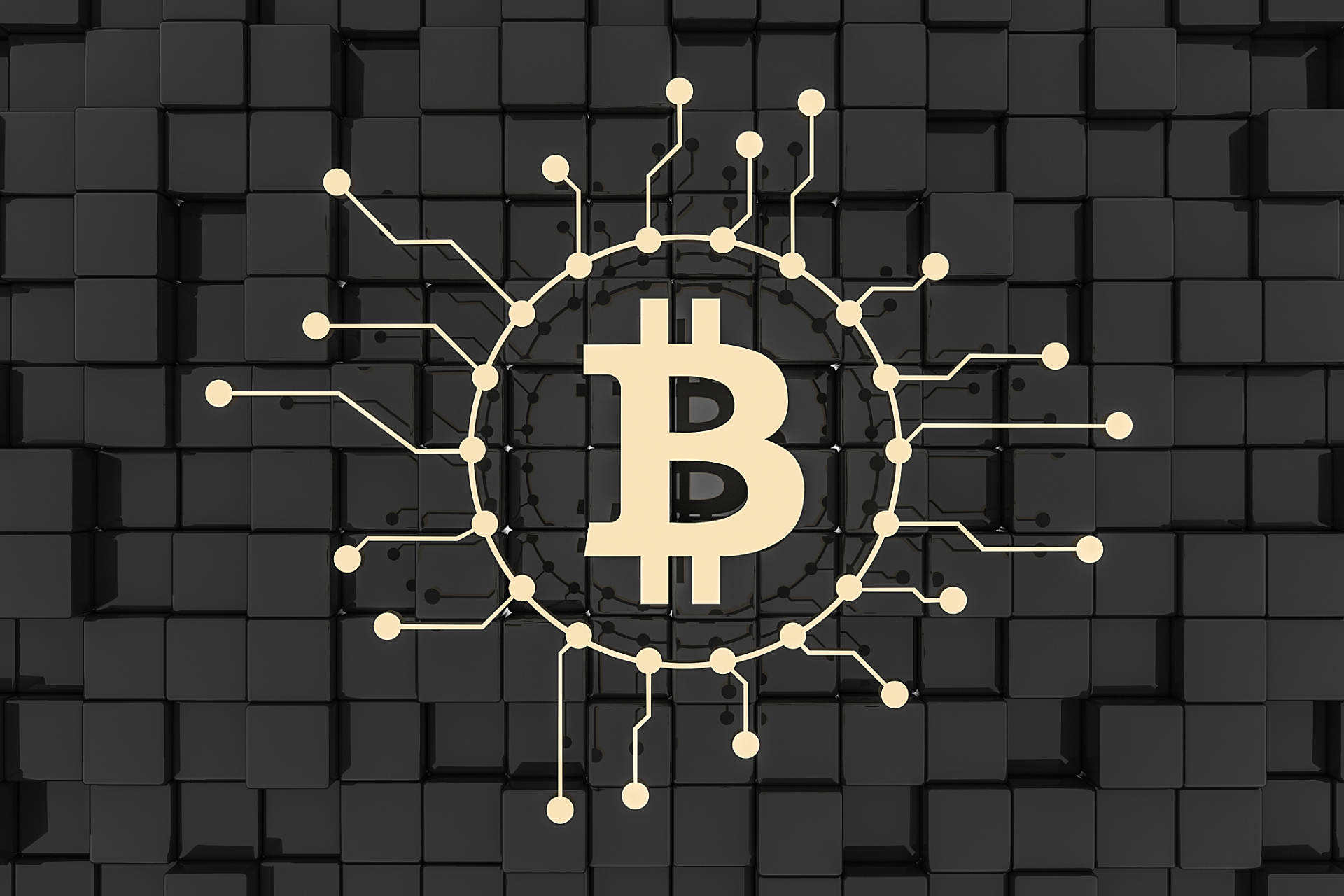 tlp虚拟币(tixon 虚拟币)